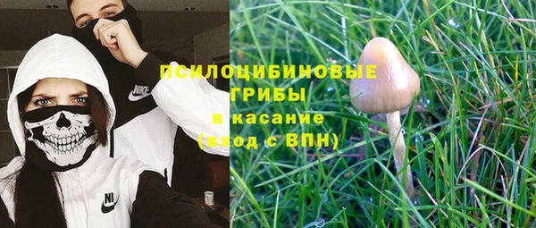 MESCALINE Богородицк