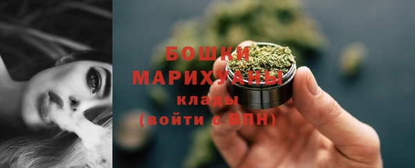 apvp Богданович